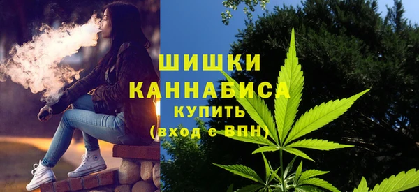 дурь Пестово