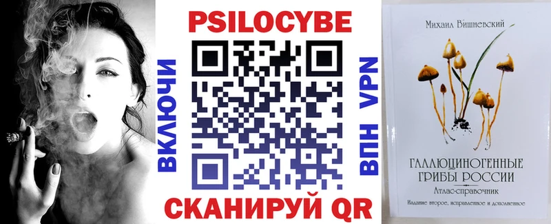 где можно купить   Кадников  Псилоцибиновые грибы Psilocybe 