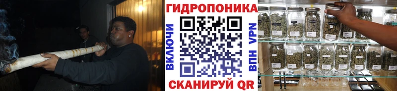 Конопля White Widow что такое наркотик omg зеркало Кадников